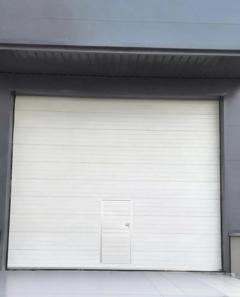 三沙市高扬程滑升门